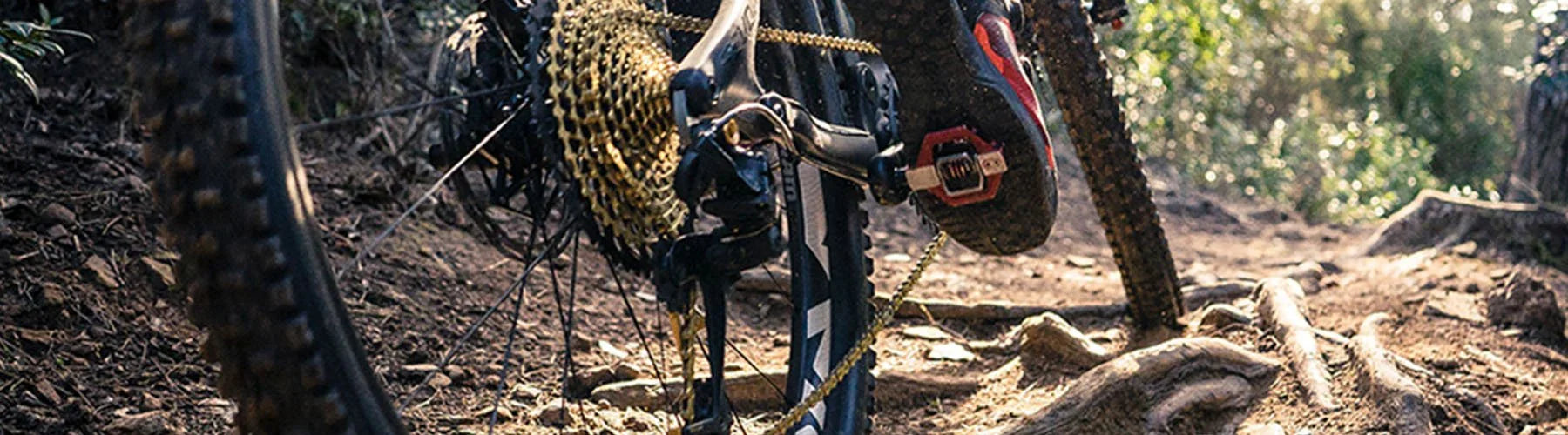 Bike Cassettes and Freewheels