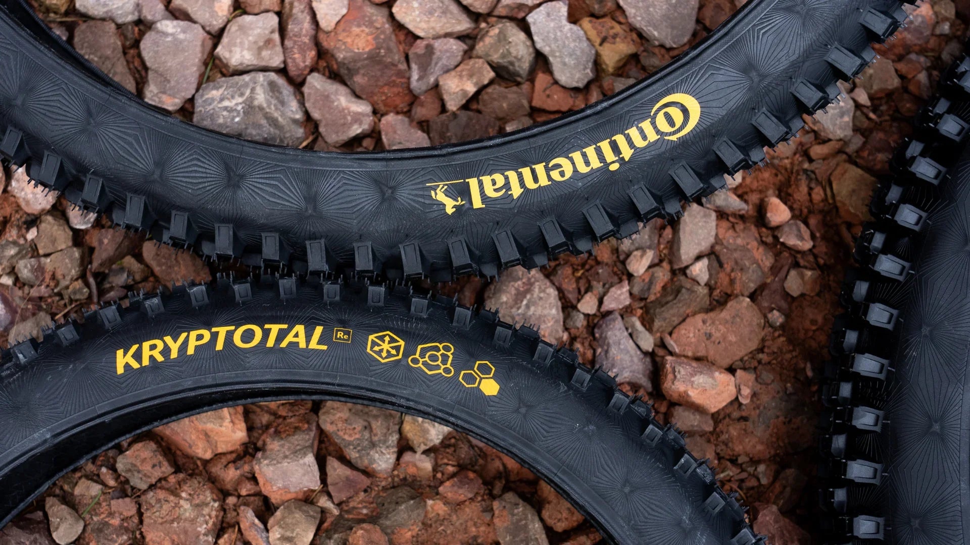 Continental Bicycle Tires | Continental Road & Mountain Bike Tires