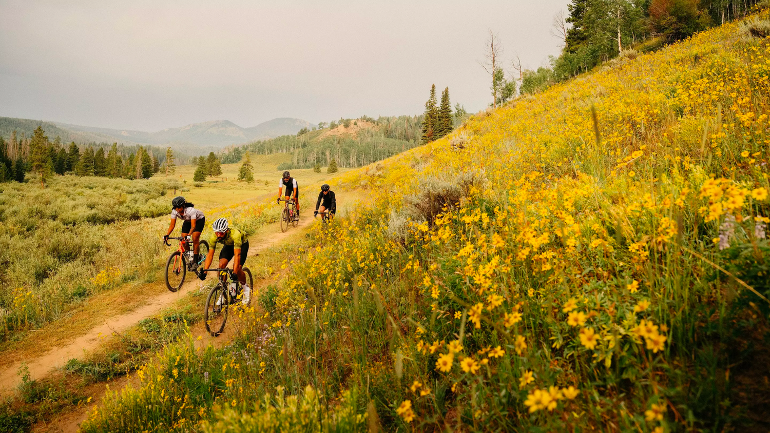 Specialized Crux Gravel Bikes