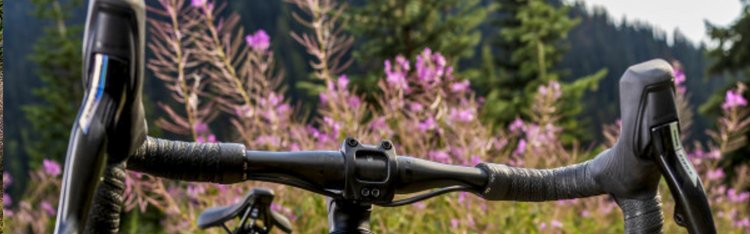 Unleash Adventure with the Liv Devote - Premier Carbon Gravel Bikes for Women