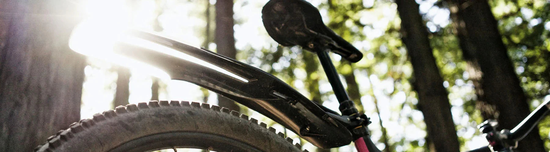 Shop the Best Bike Fenders