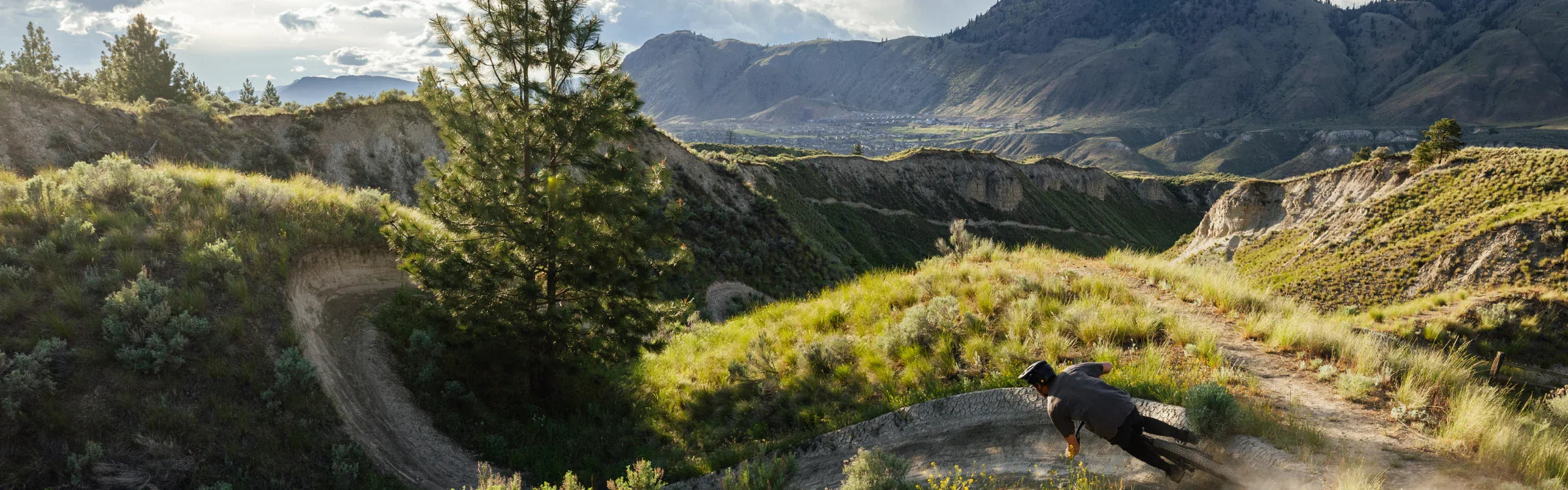 Free Bike Shipping - Bicycle Warehouse