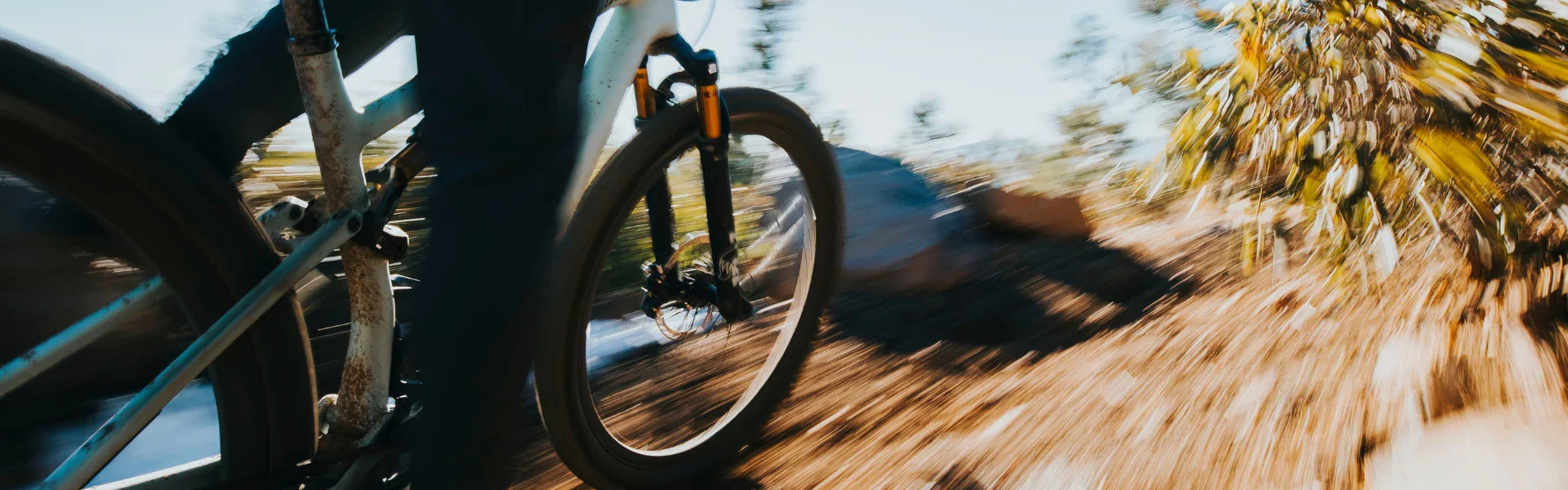 Forks, Headsets, Stems & Shocks - Bicycle Warehouse