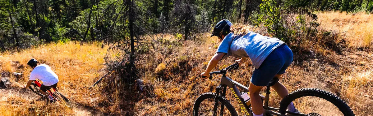 Fox Mountain Bike Forks | Shop Suspension Forks – Bicycle Warehouse