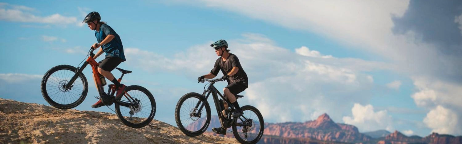 Giant Trance Electric Mountain Bike