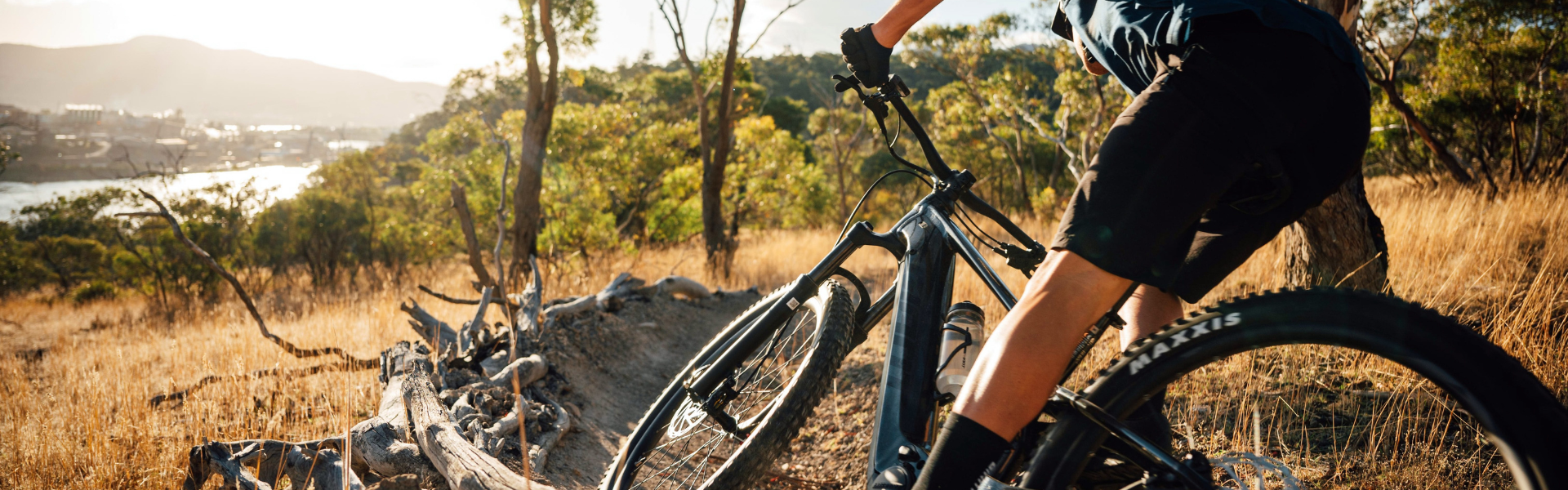 Giant Bicycles Shop the Best Giant Bikes at Bicycle Warehouse