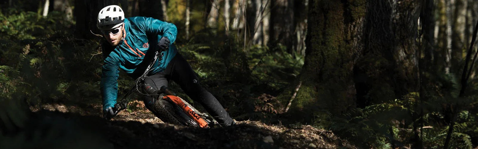 Bike Sunglasses - Bicycle Warehouse