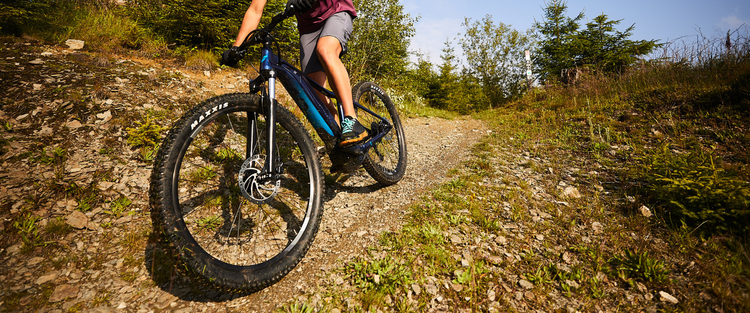 Best Hardtail Electric Mountain Bikes: Top Picks for 2024