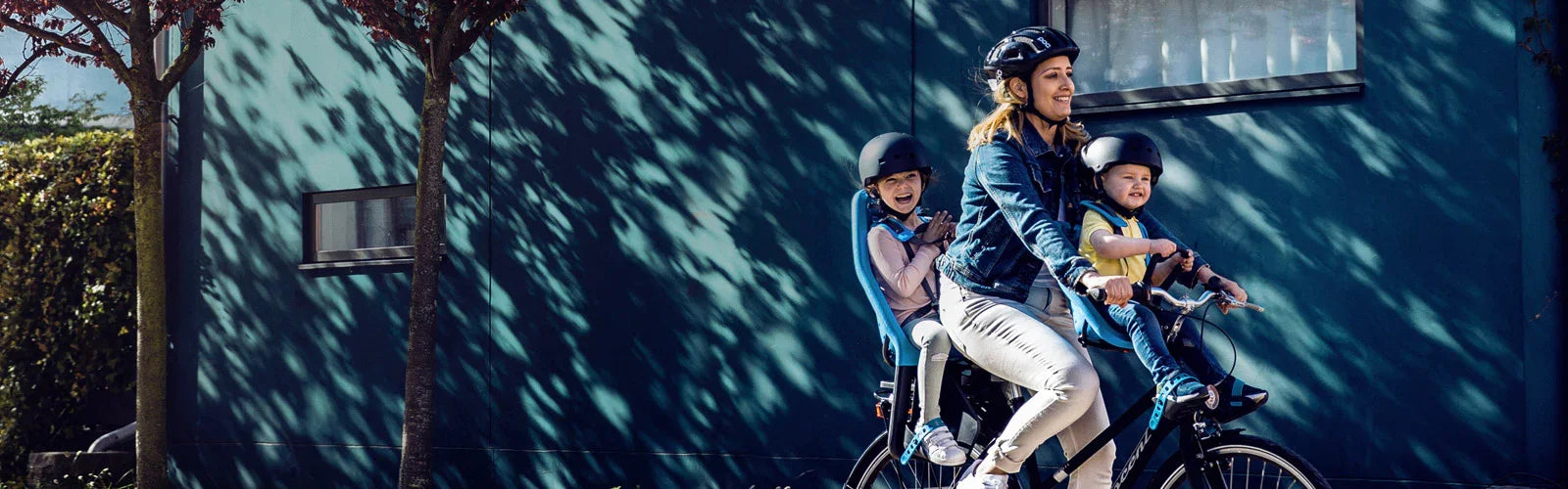 Shop Bike Kids Seats & Bike Trailers