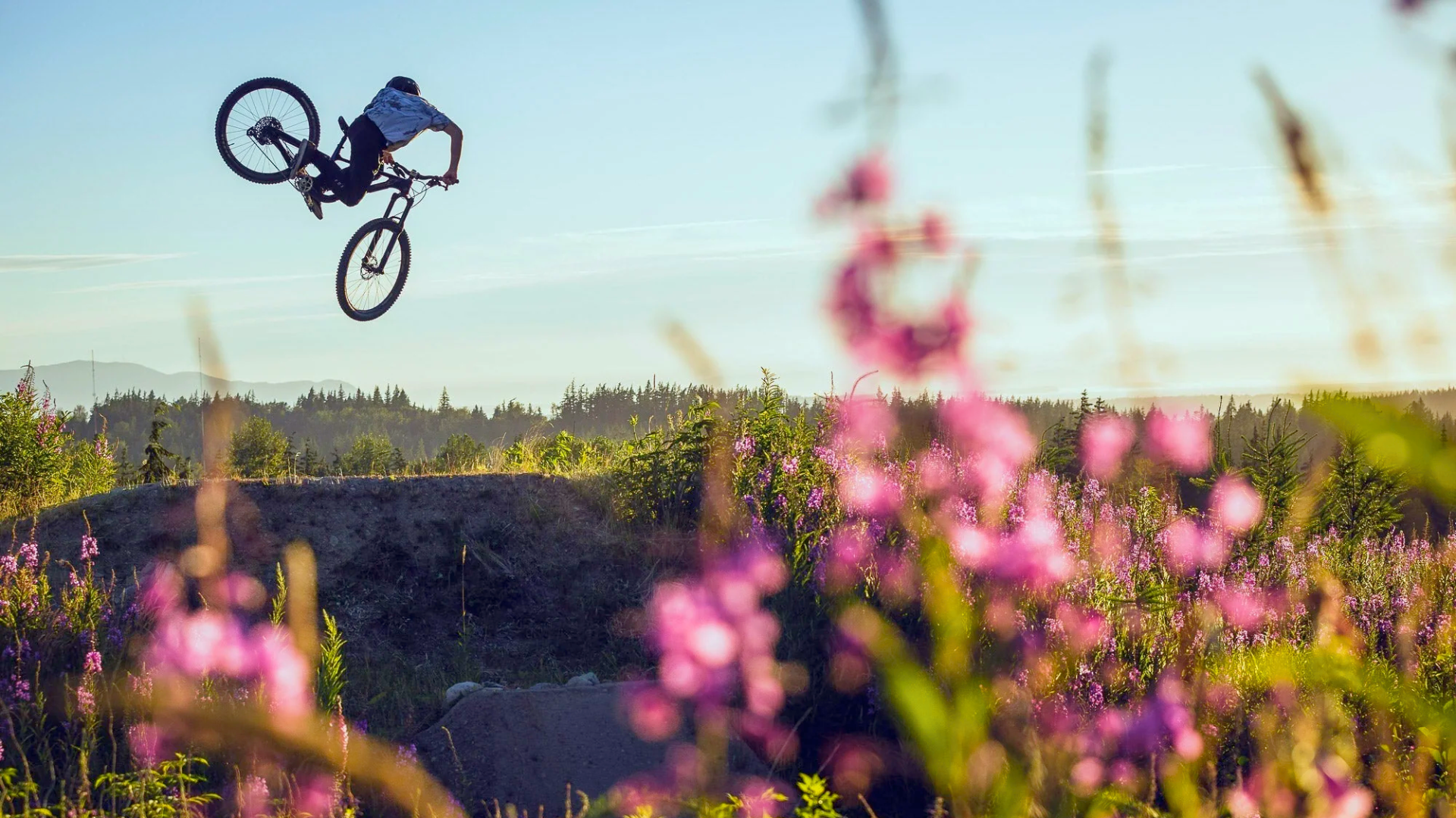 Buy Kona Bicycles Online