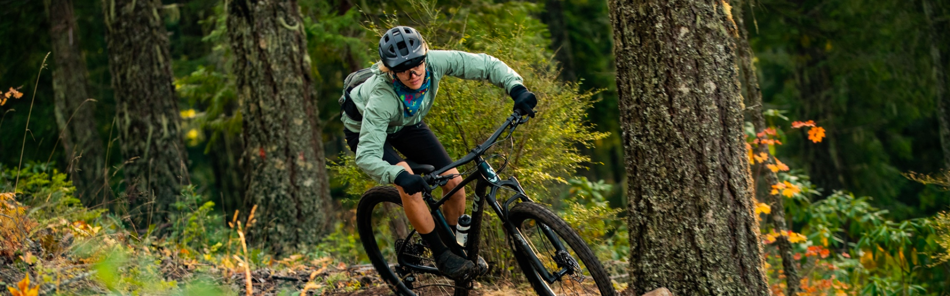 Embrace the Ride with Liv Bicycles | Explore of Women's Bikes