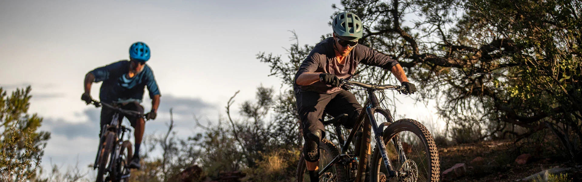 Men's Bikes - Bicycle Warehouse