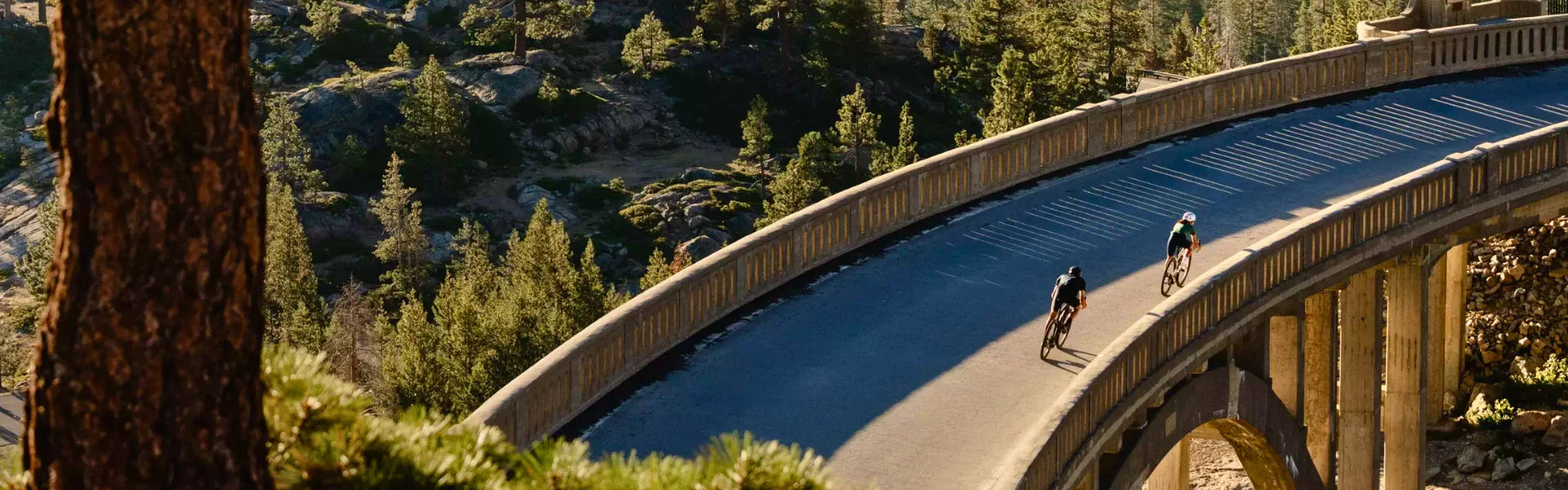 Shop the best road bikes on sale 2024