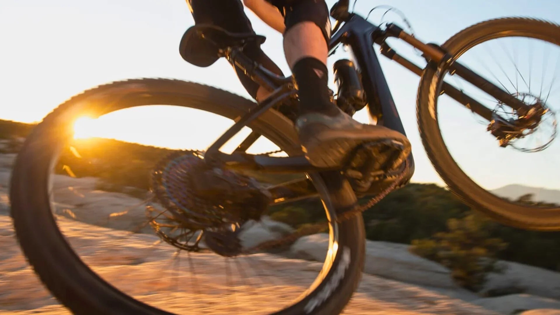 Giant Trance X E+ - Bicycle Warehouse