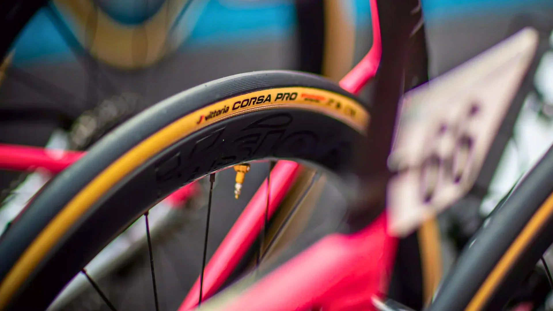 Vittoria Bike Tires | Road, MTB & Gravel Tires 