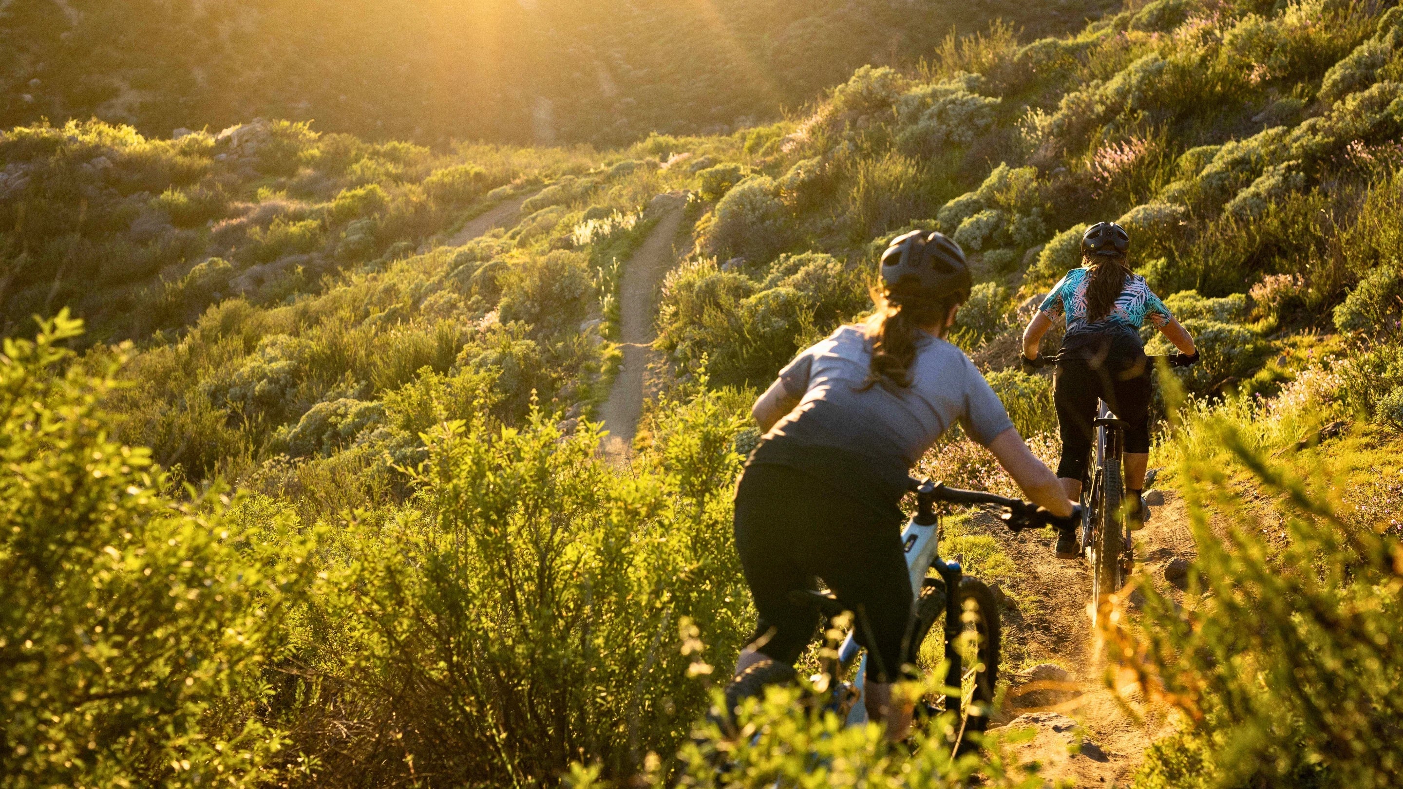 Women's Bike Shorts - Bicycle Warehouse