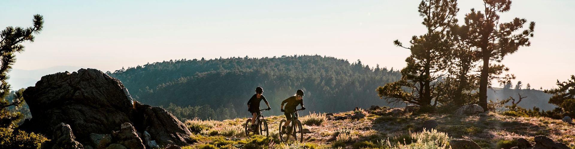 Shop the best women's mountain bikes, road bikes and more.