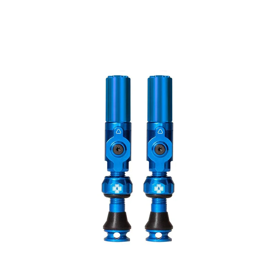 Big Bore Hybrid Tubeless Valve 60mm Pair - Blue - Bicycle Warehouse