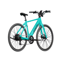 Soltera 2.5 E-Bike - Bicycle Warehouse