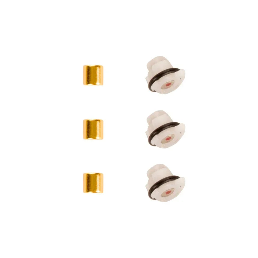 Zipp Magnet Set for Cognition NSW Clutch - Inner and Outer Rear Wheel - Bicycle Warehouse