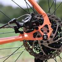 Weekender Archer Cruiser Bike - Bicycle Warehouse