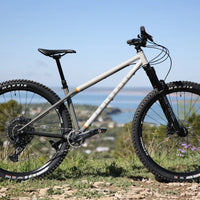 Elevator 29" Hardtail (2025) - Bicycle Warehouse