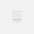 2023 Specialized tero x 4.0 29 ul bike silver dust/smoke m - Bicycle Warehouse