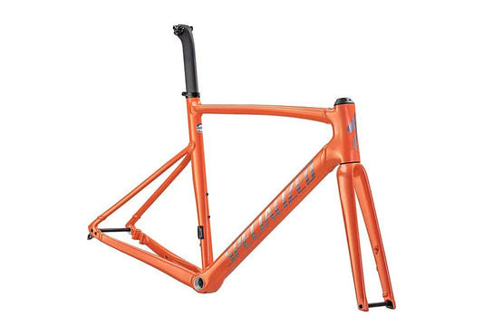 Specialized allez sprint frmset gloss cactus bloom/holographic foil 61 - Bicycle Warehouse