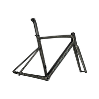 Allez Sprint Frameset (2025) - Bicycle Warehouse