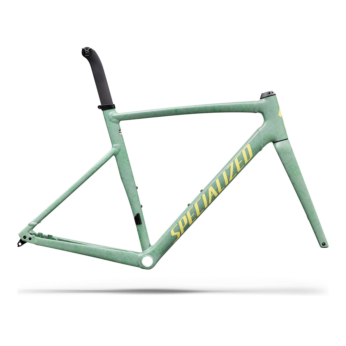 Mint green alloy bike frameset with black head tube and Specialized decal
