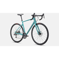 Specialized Allez E5 Disc Road Bike - Bikes - Bicycle Warehouse