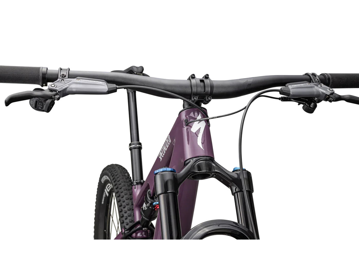 Epic 8 EVO Expert (2025) - Bicycle Warehouse