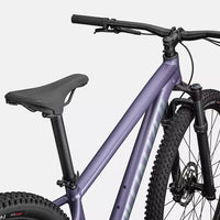 Specialized Rockhopper Comp (2026) - Bicycle Warehouse