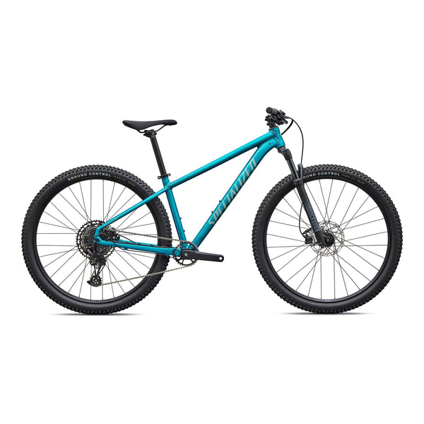 Rockhopper Comp - Gloss Teal Tint Aluminum / XL