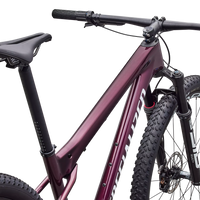 Specialized Epic World Cup Expert (2026) - Bicycle Warehouse