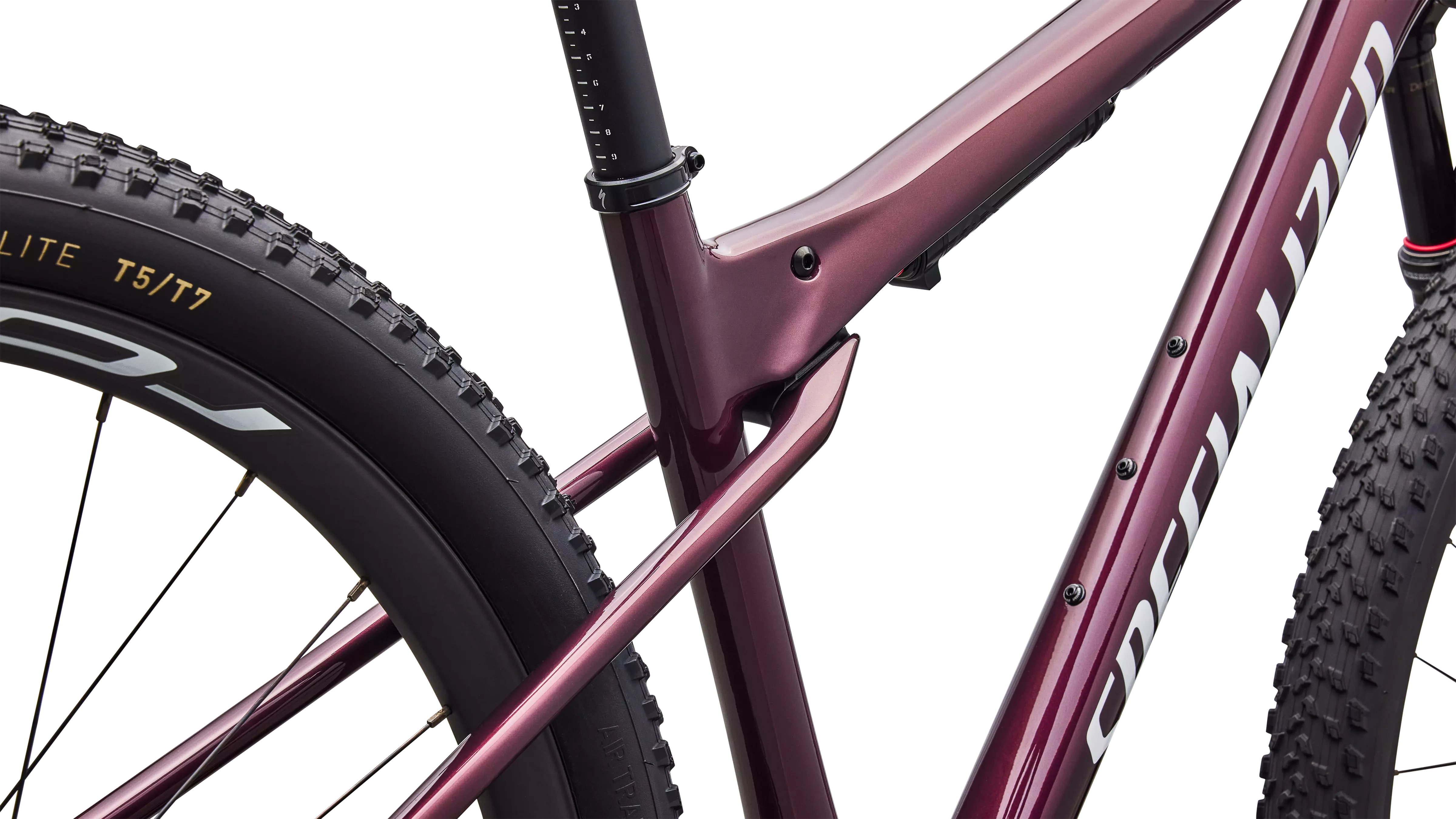 Epic World Cup Expert (2026)