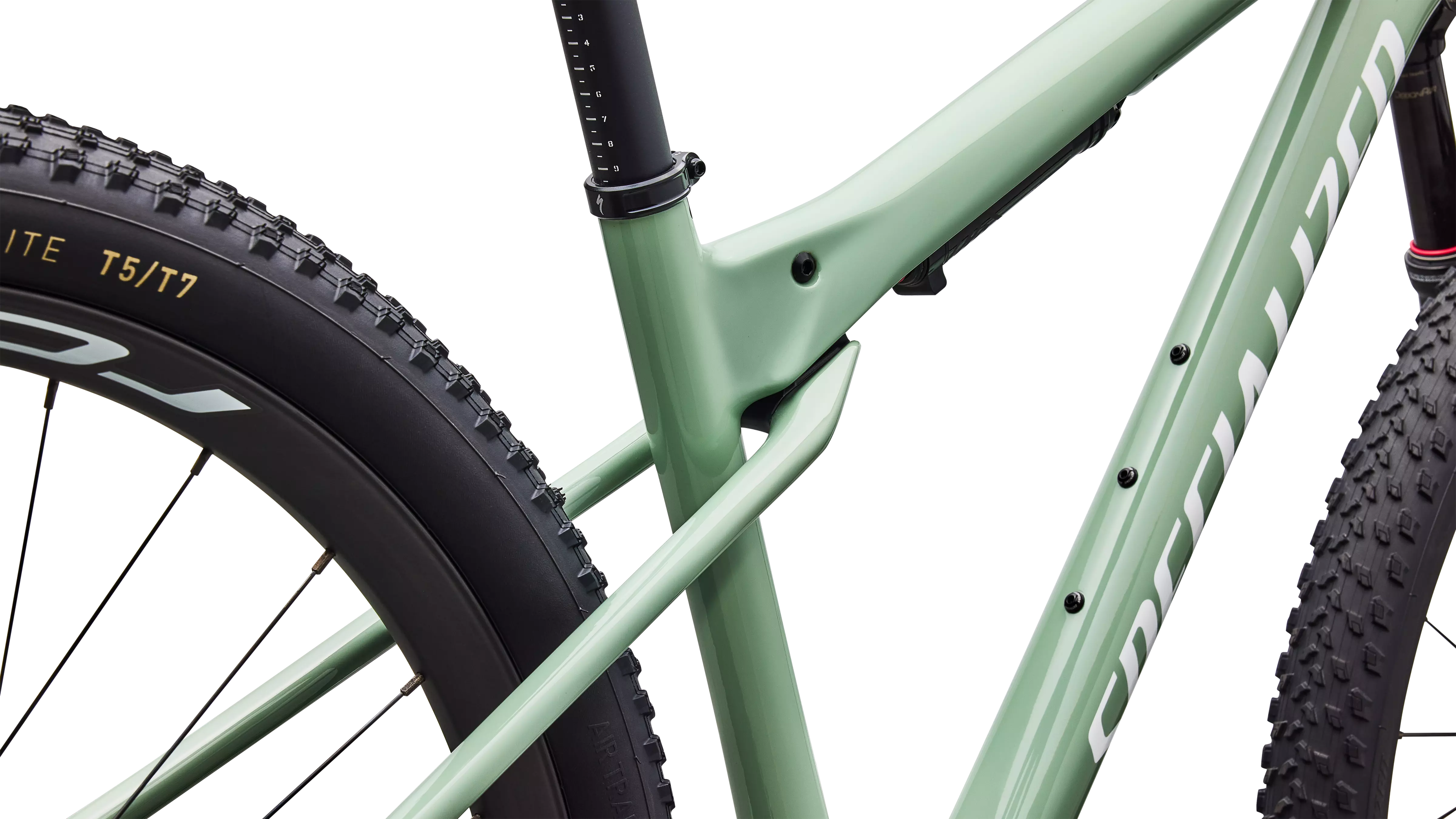 Epic World Cup Expert (2026)