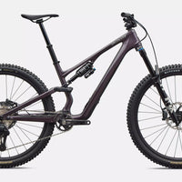 Specialized Stumpjumper 15 Expert Di2 (2026) - Bicycle Warehouse
