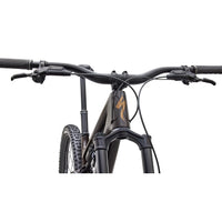 Stumpjumper 15 EVO Pro (2027)