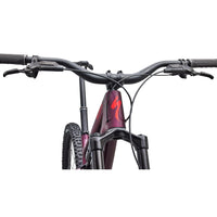 Stumpjumper 15 EVO Expert (2027)