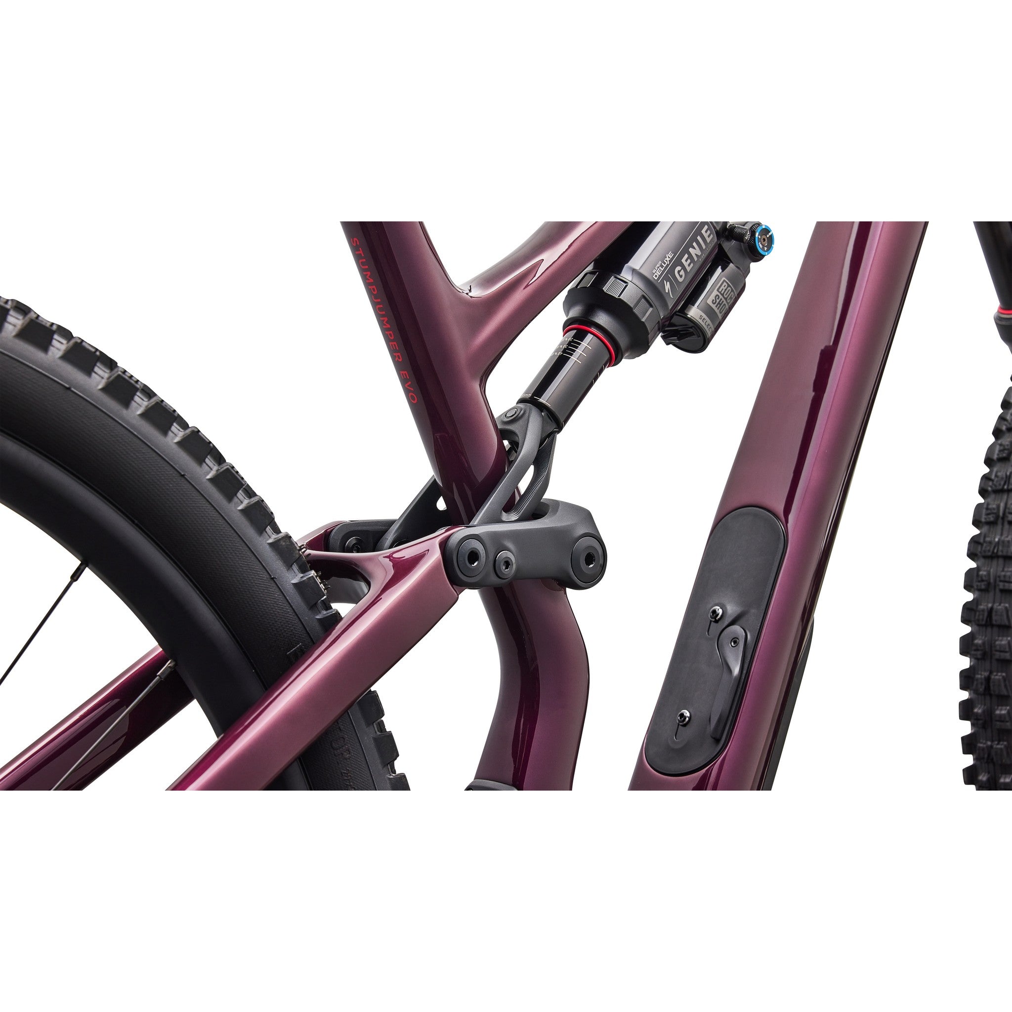 Stumpjumper 15 EVO Expert (2027)