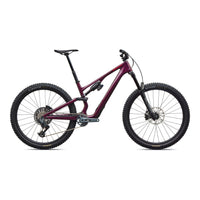Stumpjumper 15 EVO Expert (2027)