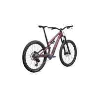Stumpjumper 15 EVO Expert (2027)