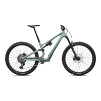 Stumpjumper 15 EVO Expert (2027)