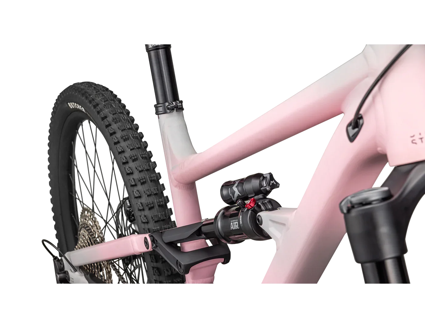 Status 2 140 (2024) - Bicycle Warehouse