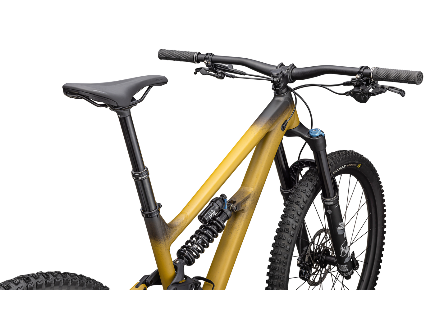 Status 2 170 (2024) - Bicycle Warehouse