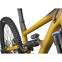 Status 2 170 (2024) - Bicycle Warehouse