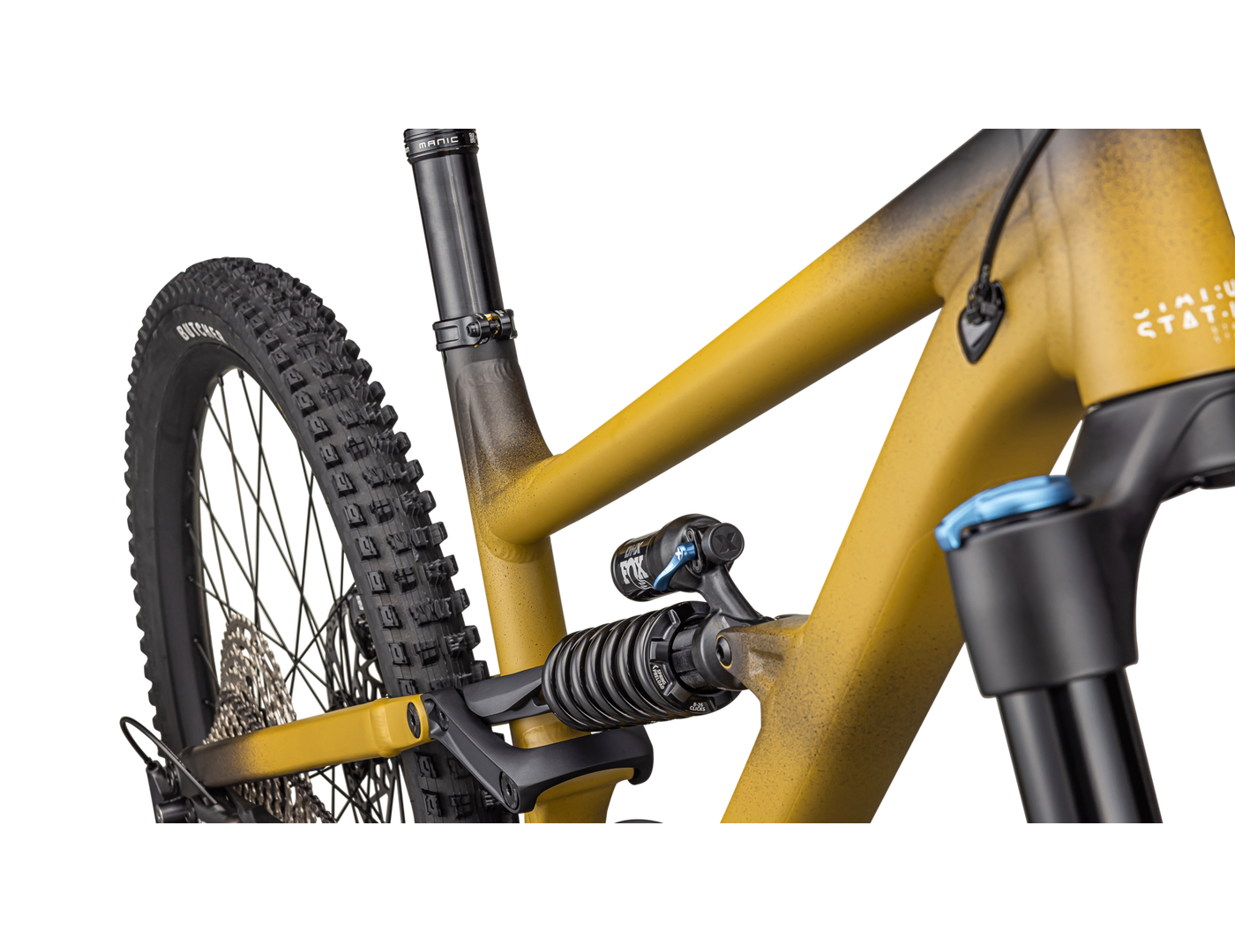 Status 2 170 (2024) - Bicycle Warehouse