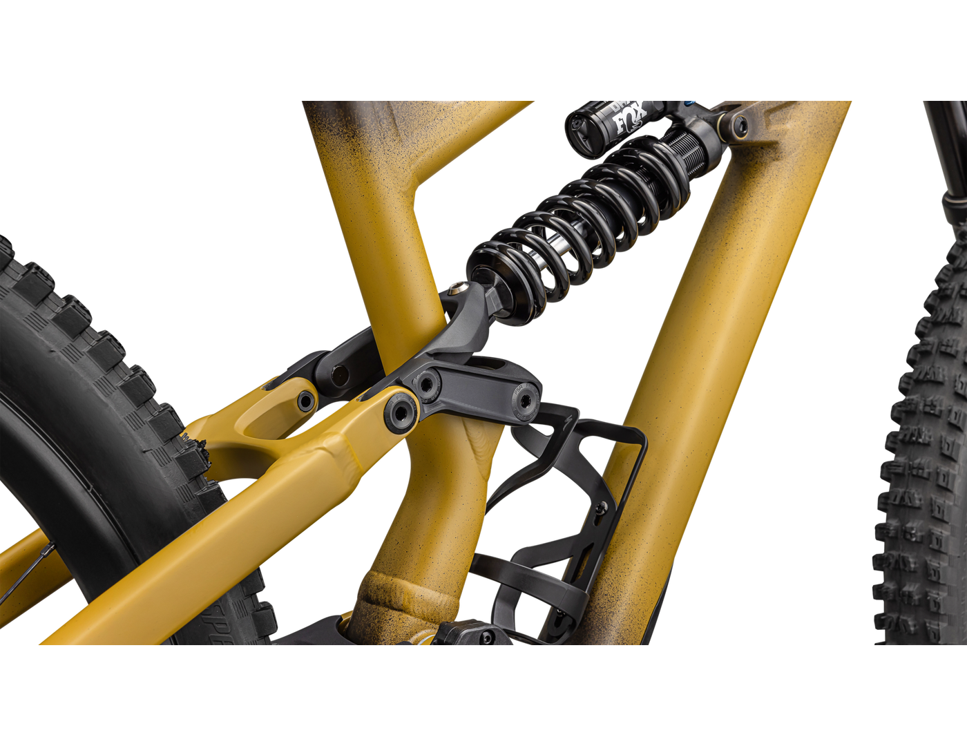 Status 2 170 (2024) - Bicycle Warehouse