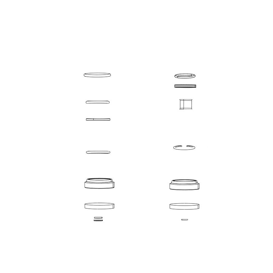 Fork Service Kit - 200 Hour/1 Year Debonair Sealhead Domain R/RC B1+ - Bicycle Warehouse